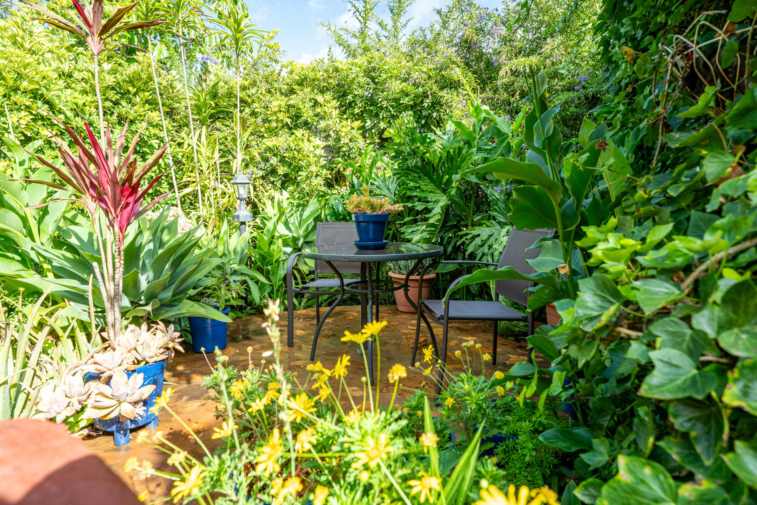 Jardines Casas Loli (1)