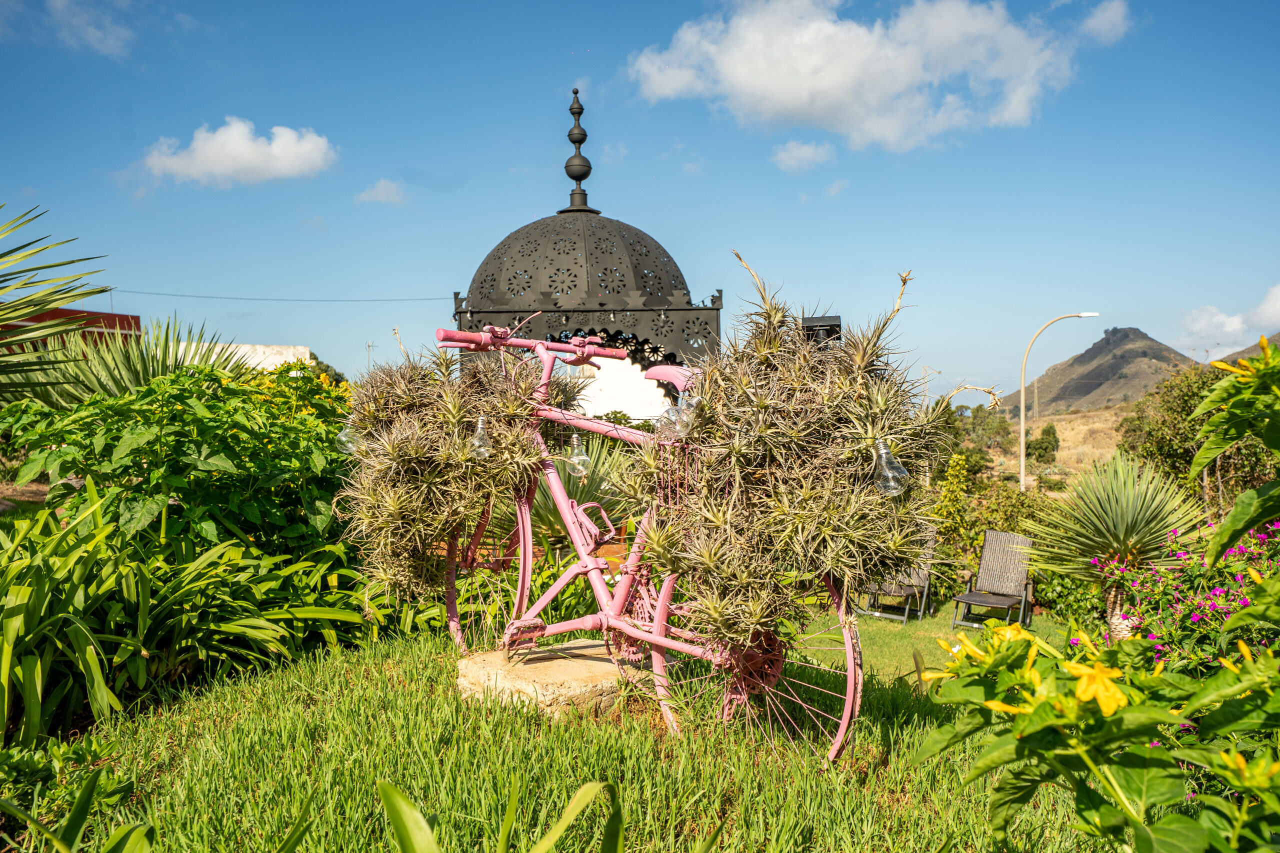 Jardines Casas Loli (18)