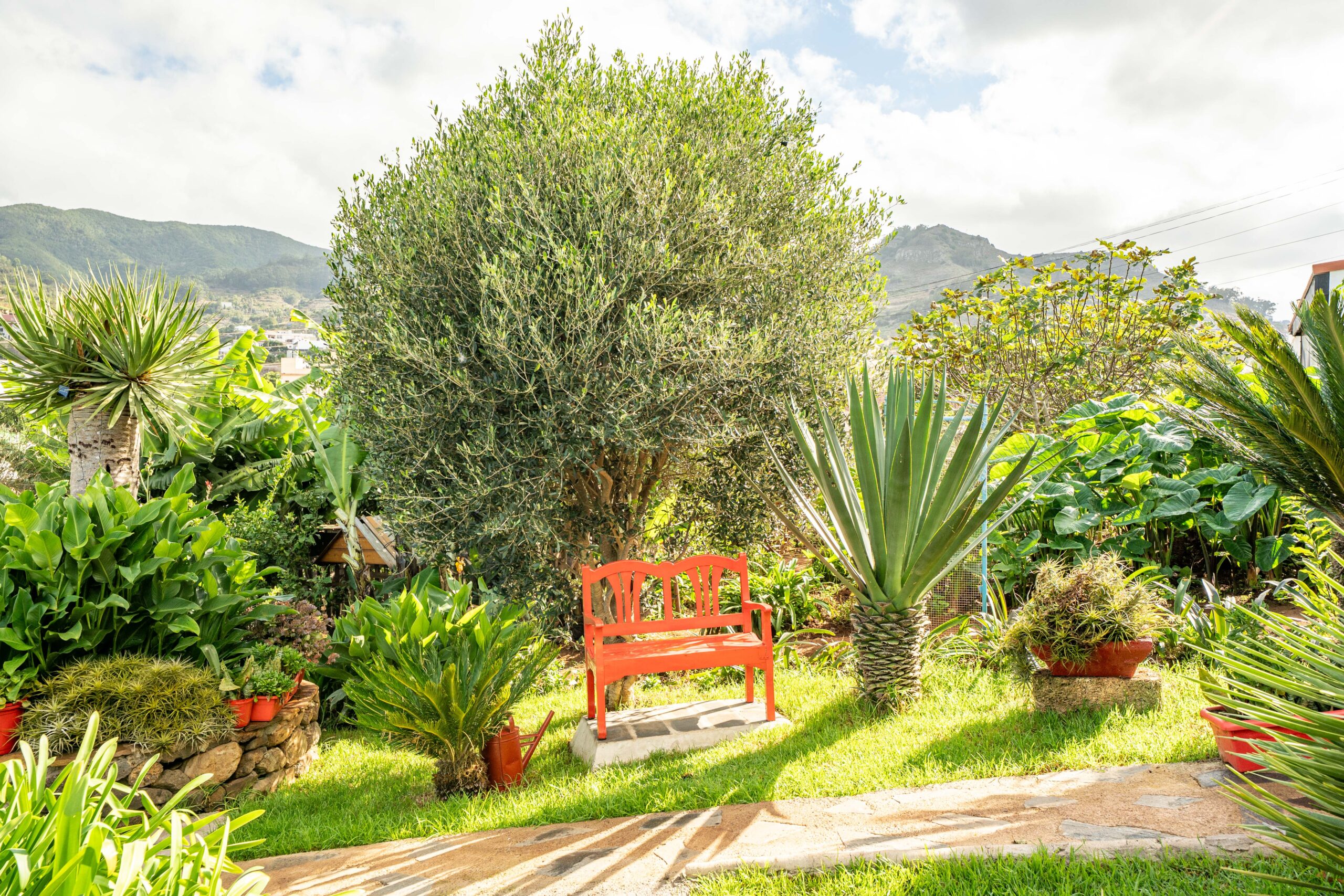 Jardines Casas Loli (19)