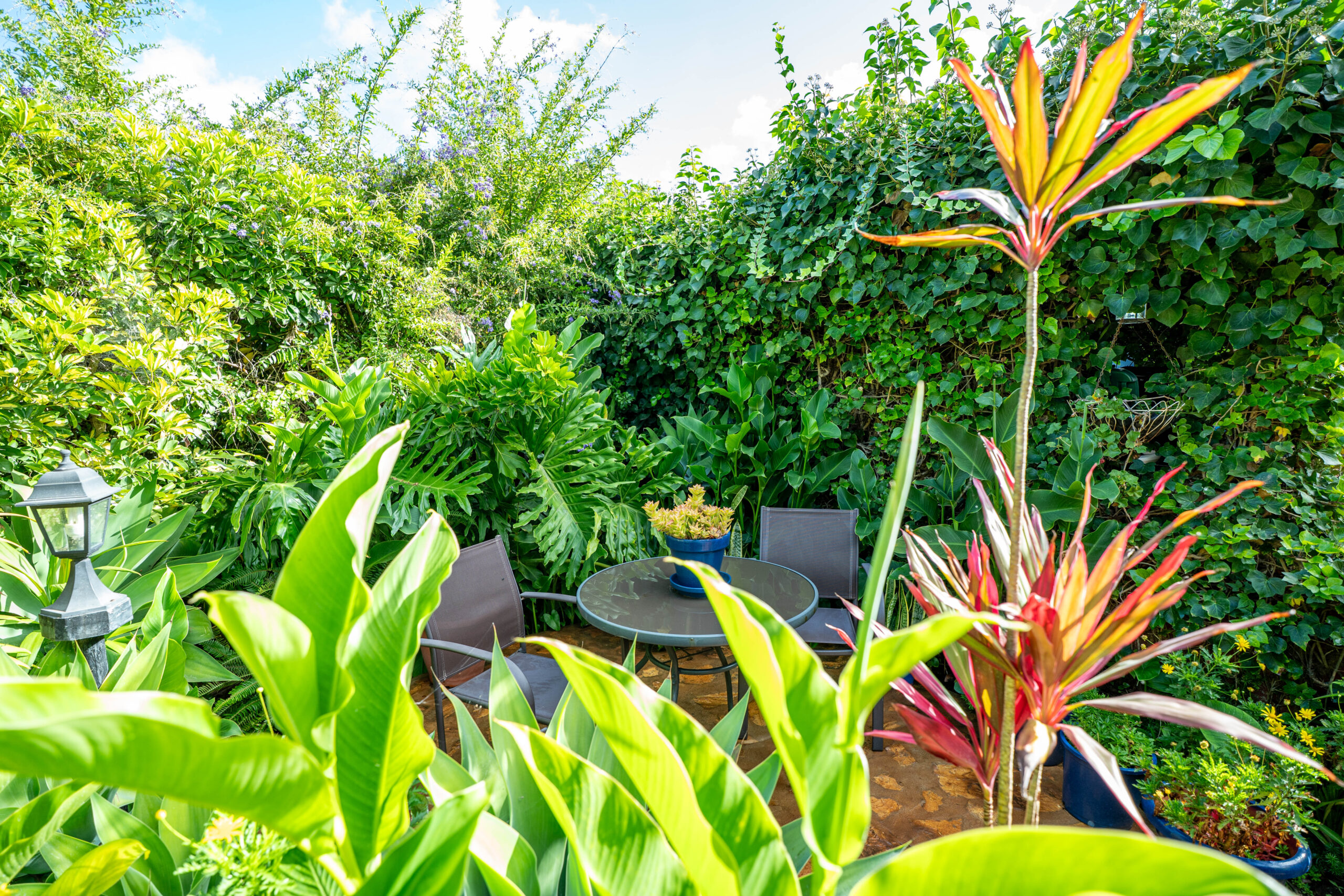 Jardines Casas Loli (2)