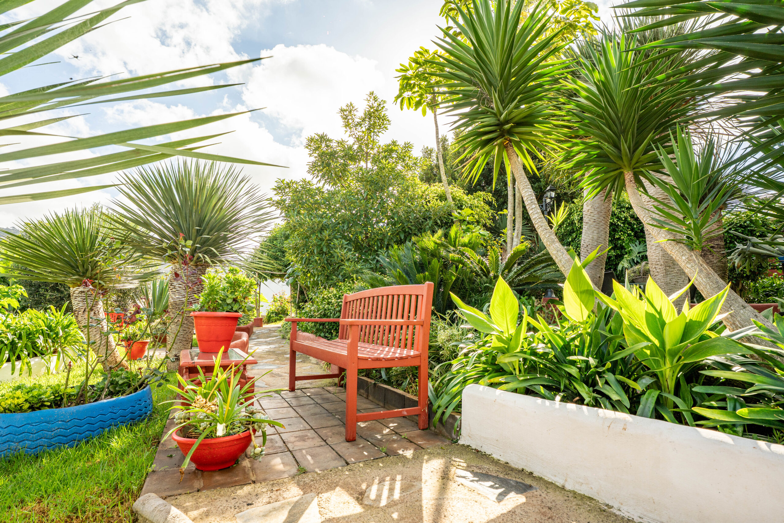 Jardines Casas Loli (20)