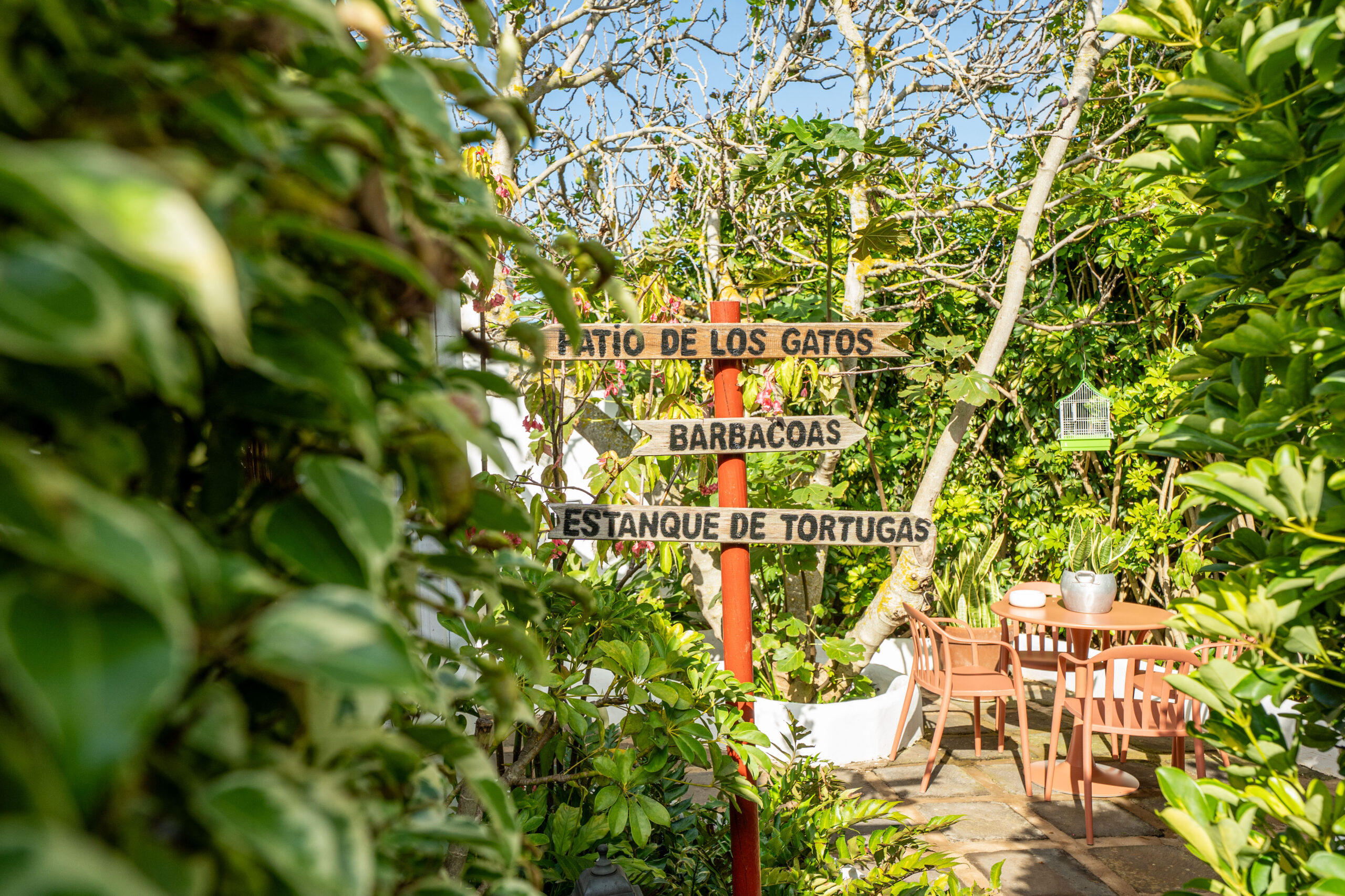 Jardines Casas Loli (3)