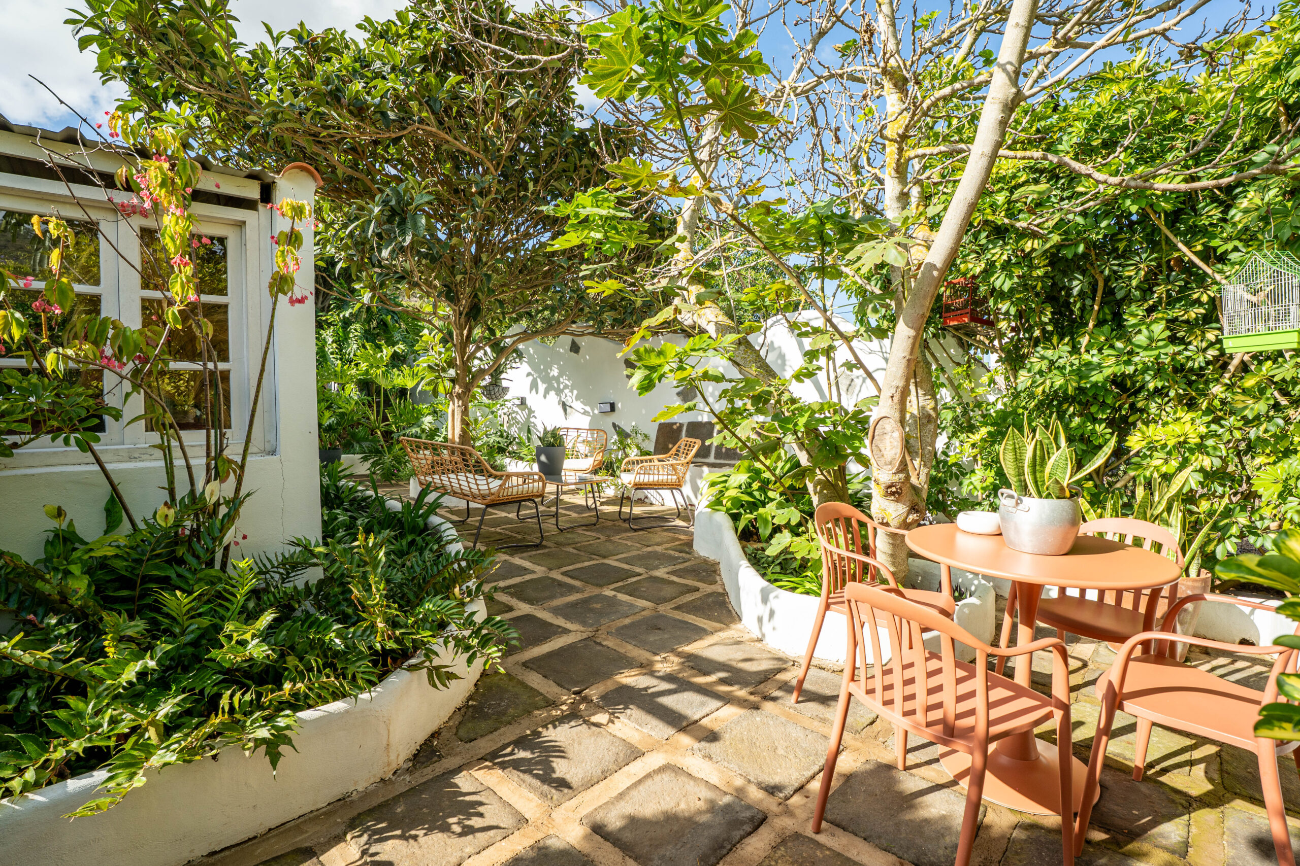 Jardines Casas Loli (7)